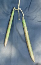 Live Plant Image