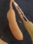 Live Plant Image