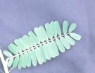 Live Plant Image